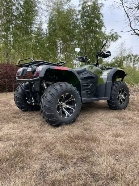 Electric ATV